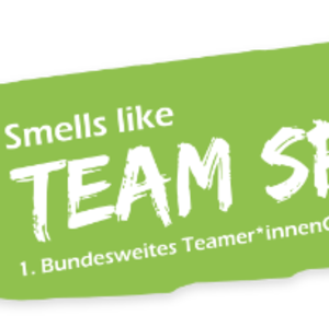 Logo des TeamerCamps Team-Spirit