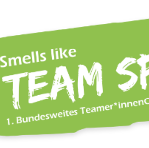 Logo des TeamerCamps Team-Spirit